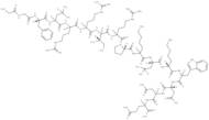 Dynorphin (2-17), amide, porcine