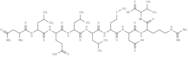 eukaryotic translation initiation factor 3