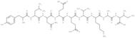 ferritin heavy chain fragment [Multiple species]