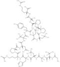 Immunoglobulin M heavy chain (IGHM) fragment [Homo sapiens]