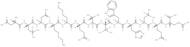 MHC class II antigen (45-57) [Homo sapiens]