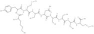 p53 tumor suppressor fragment