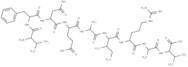 Rac GTPase fragment