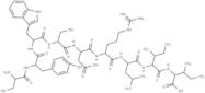 signal transducer and activator of transcription 6 fragment