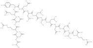 transferrin fragment