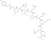 tumor protein p53 binding protein fragment [Homo sapiens]/[Mus musculus]