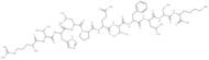 vitamin D binding protein precursor (353-363) [Homo sapiens]