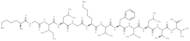 A2-Binding peptide