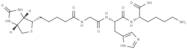 Biotinoyl tripeptide-1