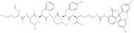 F-Chemotactic peptide-fluorescein