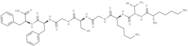 Ige octapeptide (497-504)