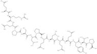 Relaxin C-peptide