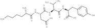 Tetrapeptide-2