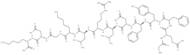 Collagen type IV α1 (531-543)