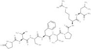 Leucopyrokinin