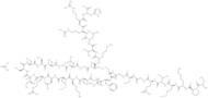 Nesiritide acetate