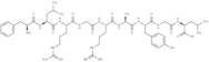 HLA-B*0801-binding EBV peptide