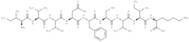 EBV EBNA3B (416-424)