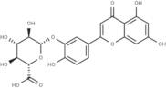 Luteolin-3-O-β-D-glucuronide