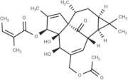 20-O-Acetylingenol-3-angelate