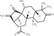 Glaucocalyxin B