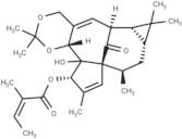 Ingenol-5,20-acetonide-3-O-angelate