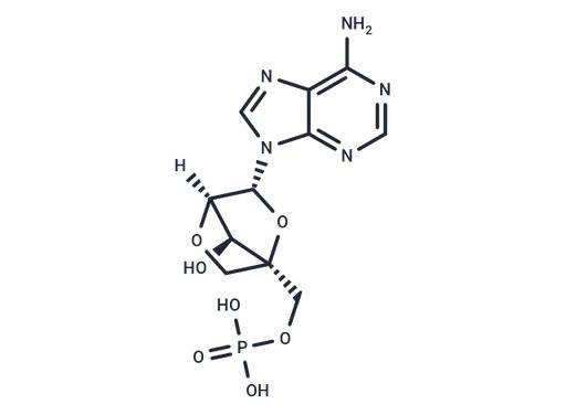 LNA-AMP