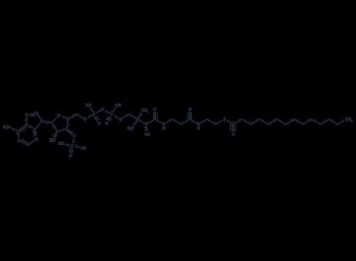 Myristoyl coenzyme A