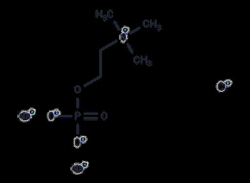 Phosphocholine chloride disodium