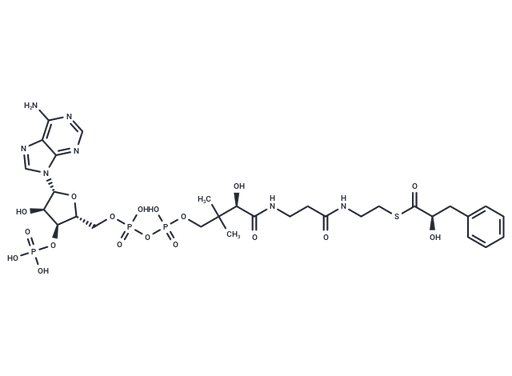 (R)-Phenyllactoyl-CoA