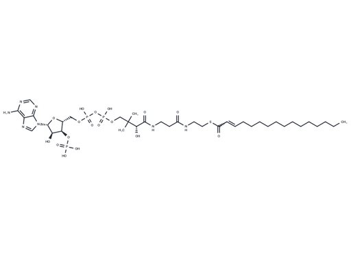 2-Hexadecenoyl-CoA