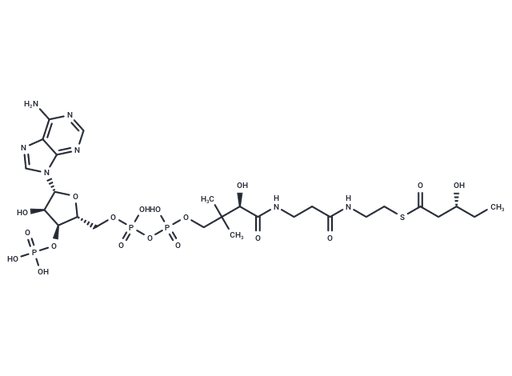(R)-3-Hydroxyvaleryl-CoA