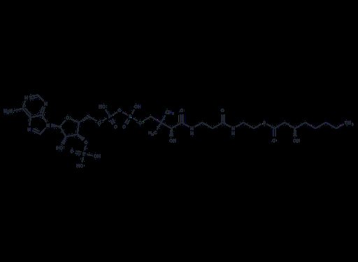 (S)-3-Hydroxyoctanoyl-CoA