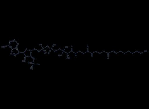trans-2-Decenoylcoenzyme A