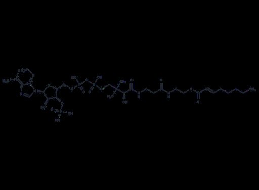 2-trans-Octenoyl-CoA