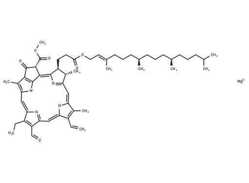 Chlorophyll b