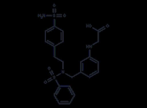 Carbonic anhydrase inhibitor 19