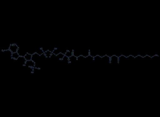 3-Oxododecanoyl-CoA