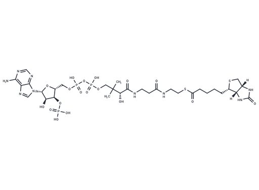 Biotinyl-CoA
