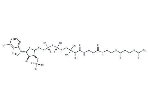 S-[3-(Acetylthio)propanoate]-CoA