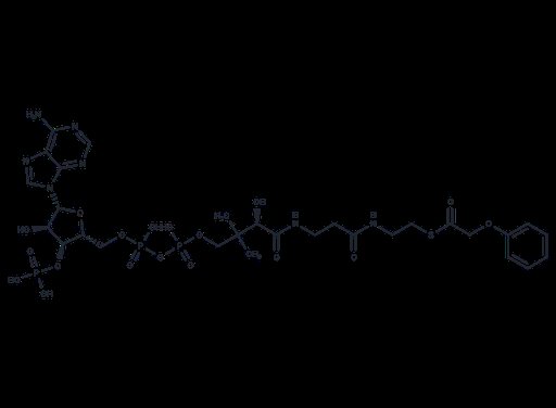 Phenoxyacetyl-CoA