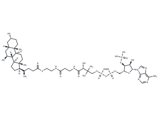 Ursodeoxycholoyl-CoA