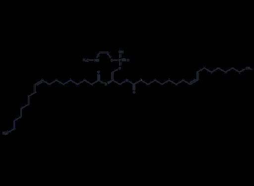 18:1 Monomethyl PE