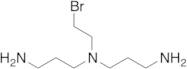 N1-(3-Aminopropyl)-N1-(2-bromoethyl)propane-1,3-diamine