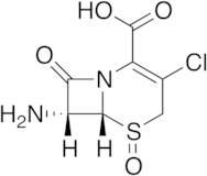 7-Amino-5-oxide Cefaclor