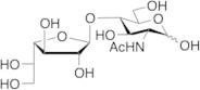 2-Acetamido-2-deoxy-4-O-(b-D-galactofuranosyl)-a,b-D-glucopyranose