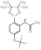 2-Acetamido-4-(trifluoromethoxy)phenylboronic Acid Pinacol Ester