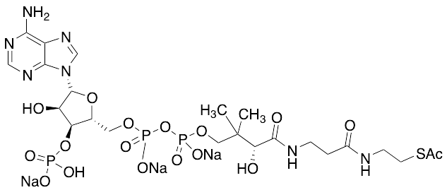 Acetyl Coenzyme A Trisodium Salt