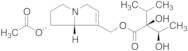 7-Acetylintermedine