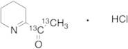 2-Acetyl-3,4,5,6-tetrahydropyridine-13C2 Hydrochloride(Technical Grade)